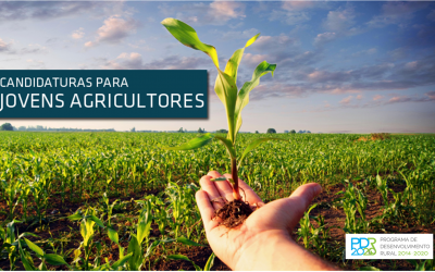 Apoios Financeiros a Jovens Agricultores